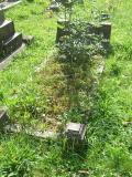 image of grave number 260314